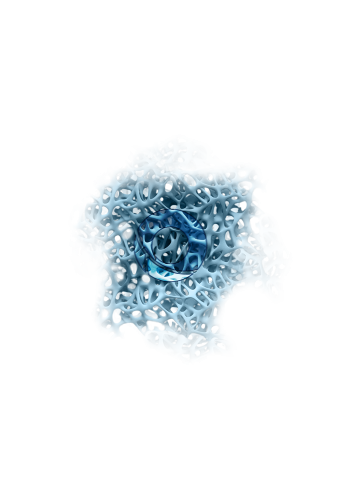 Knochenersatzmaterialien Knochenersatzmaterialien