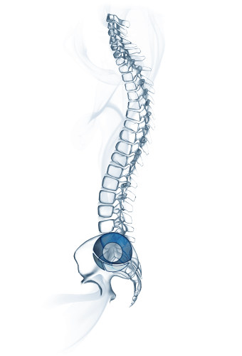 Knochenzemente & Accessoires für Wirbelsäulenchirurgie Knochenzemente & Accessoires für Wirbelsäulenchirurgie
